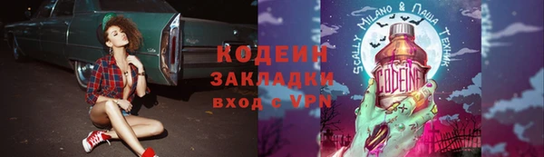 индика Бронницы