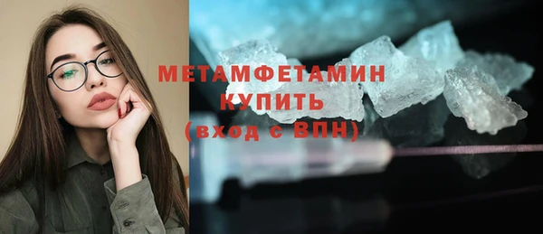 индика Бронницы