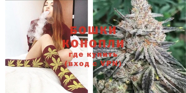 индика Бронницы