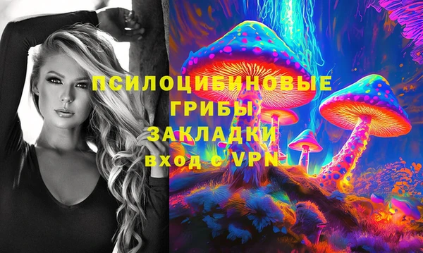 a pvp Верея