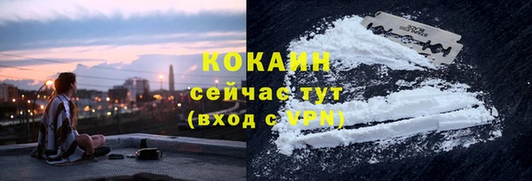гашик Костерёво
